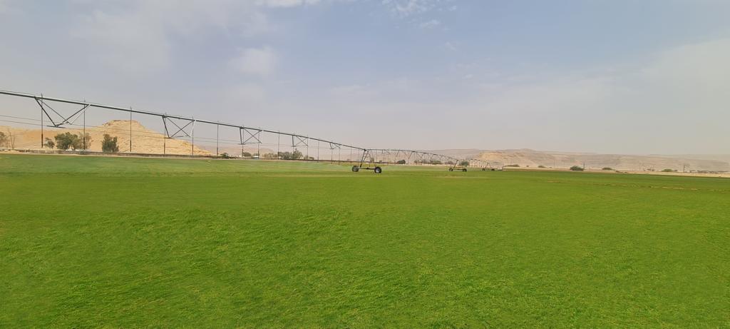 شركة سعودية تحصل على شهادة البرنامج الدولي للضمان الجيني للعشب المخصص