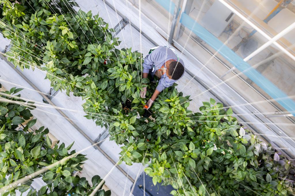 A1A6C5B1-0CE8-41AD-AA08-DD610D4A98F9