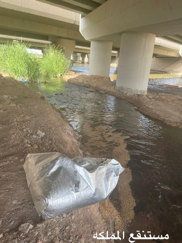 A415F1F9-30BB-4C8F-9E16-8D0AD9972879