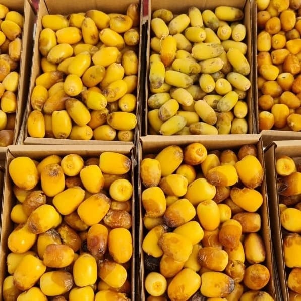 B2B8DA97-D575-46DD-97B6-CE3112864053