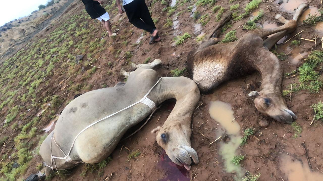 C19D33D1-2278-46D1-A8AD-45030E401AE6