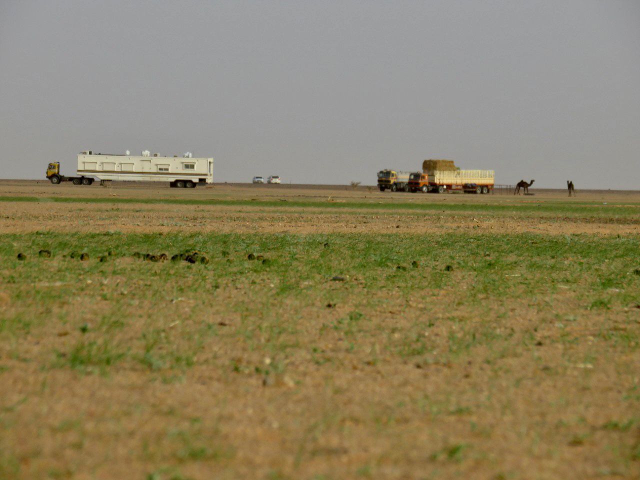 CA9A770A-687F-4B5F-AA4D-30C43B92E809