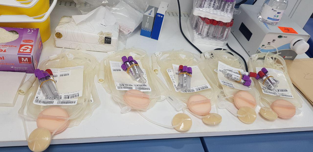 CC50548C-5DD8-42F3-B11F-08C5A3FC4D2A