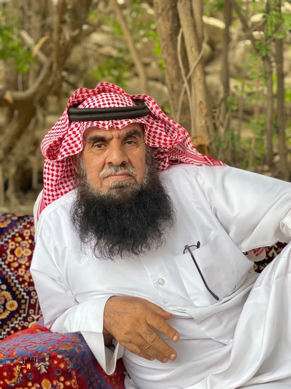 قصيدة الشاعر محمد بن لقفص العمري