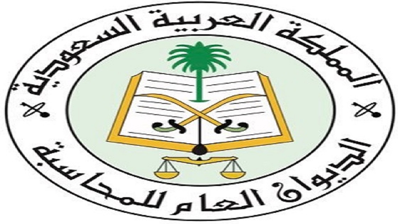 رئيس الديوان العام للمحاسبة يعتمد إستراتيجية الأمن السيبراني في الديوان