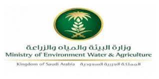 المتحدث الرسمي لـ"البيئة": إزالة الشجرة المعمرة في جازان مرفوض تماماً.. والعقوبة تنتظر المتعدي