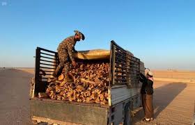 ضبط (61) شاحنة محملة بالحطب المحلي المعدة للبيع في عدد من المناطق لمخالفتها لنظام المراعي والغابات