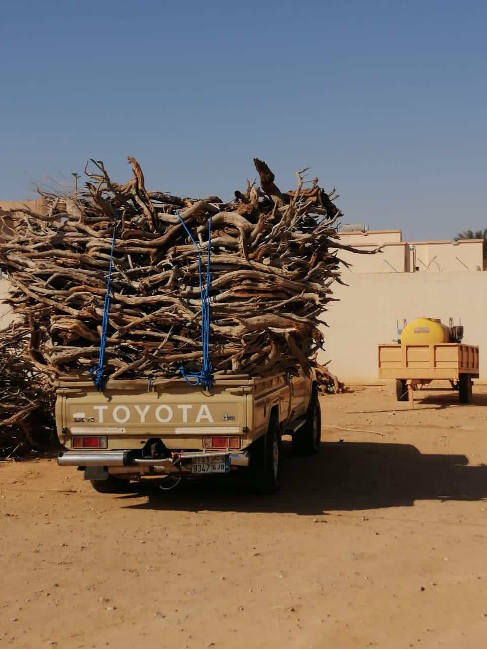 بالتعاون مع الجهات الأمنية .."البيئة" تصادر 150 طنًا من الحطب المحلي في 5 مناطق