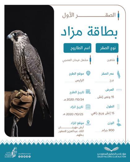 الدمام : تعاون بين (السعودي الألماني) و وزارة الرياضة لتعزيز برامج المسؤولية الإجتماعية