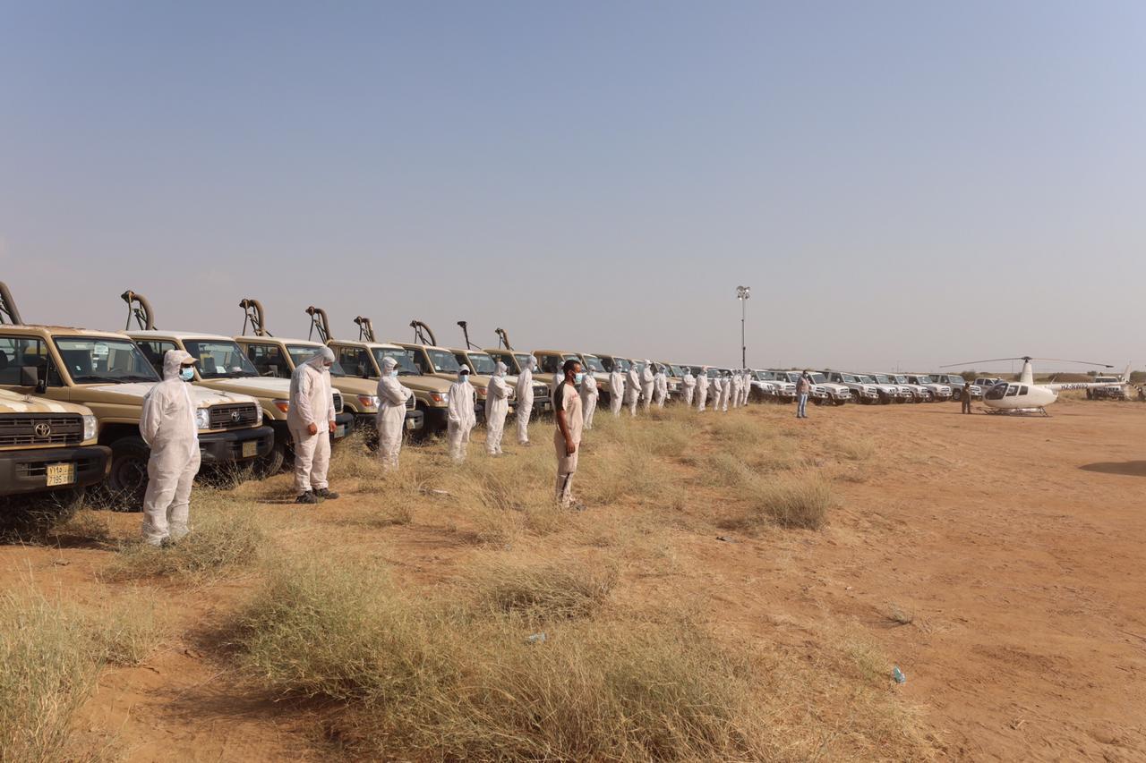 خلال الفترة من 15-19 نوفمبر الجاري "البيئة" تستكشف وتعالج 23.620 ألف هكتارًا من الجراد الصحراوي في 3 مناطق
