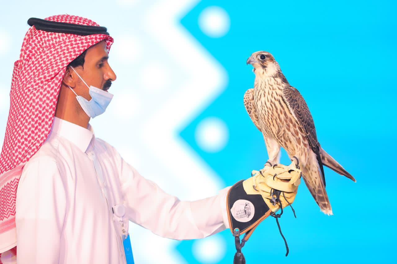386 ألف ريال مبيعات جمعة مزاد نادي الصقور السعودي