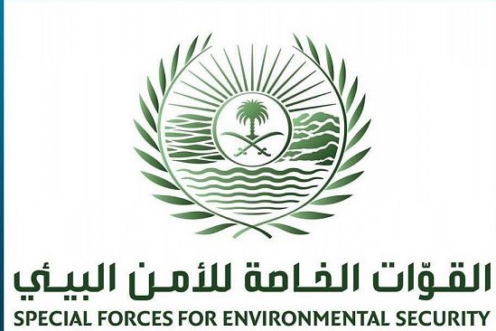 متحدث القوات الخاصة للأمن البيئي: تحديد هوية الأشخاص الذين قاموا بإيذاء سلاحف على أحد شواطئ محافظة أملج بتبوك