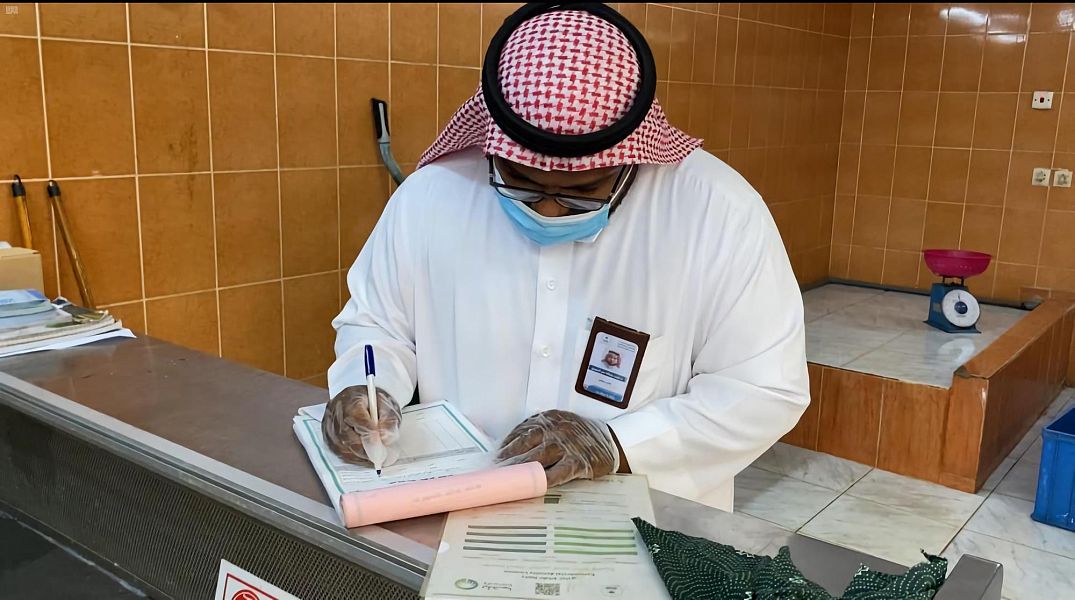 "البيئة" تنفذ حملة تفتيشية على سوق الأسماك بالقنفذة وترصد عدة مخالفات