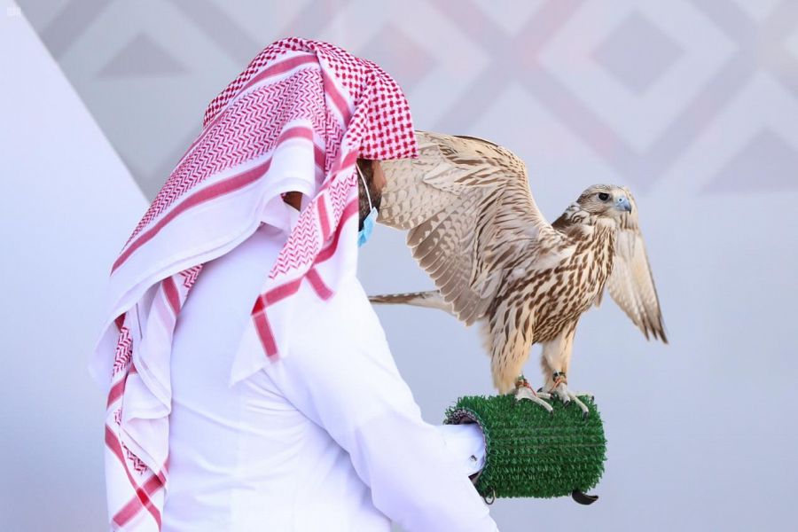 بصقور الإنتاج المحلي.. المنصوري يحصد 5 كؤوس بمهرجان الملك عبدالعزيز