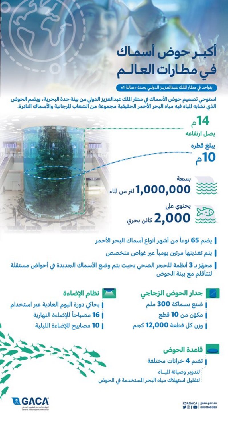 الطيران المدني.. أكبر حوض سمكي ينقل بحر العروس إلى مطار المؤسس