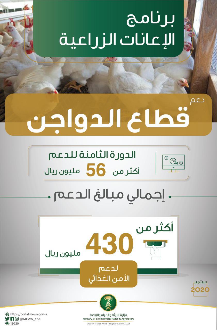 "البيئة" تدعم قطاع الدواجن بأكثر من ٥٦ مليون ريال في دورة الدعم الثامنة