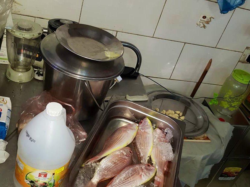 أكثر من 700 جولة رقابية نفذتها بلدية العمرة بـ #مكة خلال اسبوع