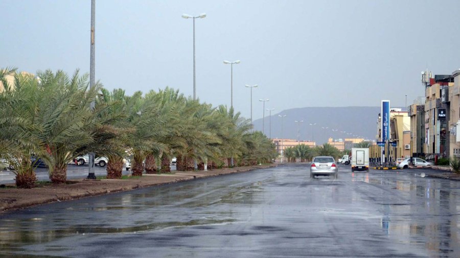 «طقس الخميس» .. أمطار رعدية ورياح مثيرة للأتربة على عدة مناطق بالمملكة