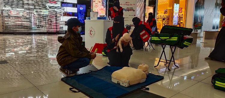 5bf8d120-7008-4f11-9166-31e2e7c7fa13-53