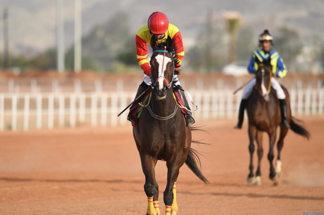 ميدان فروسية العقيق بالباحة يشهد غداً انطلاق المحفل الثالث لسباقات الخيل بمشاركة 55 جواداً