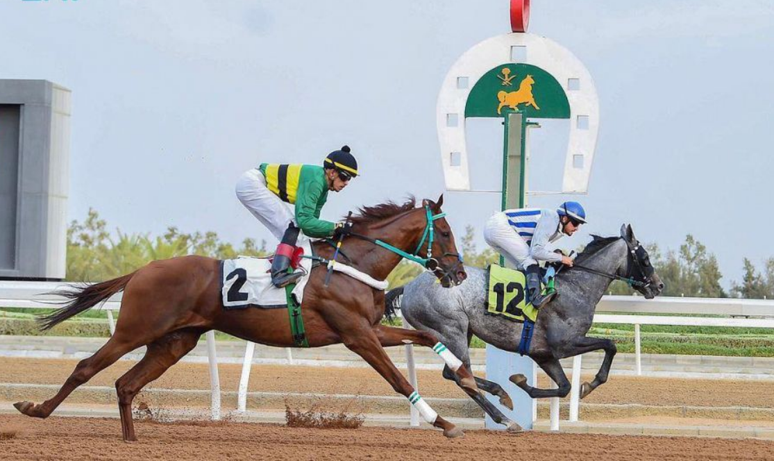 موسم سباقات الخيل للمصيف ينطلق الجمعة القادم بميدان الملك خالد للفروسية بالطائف