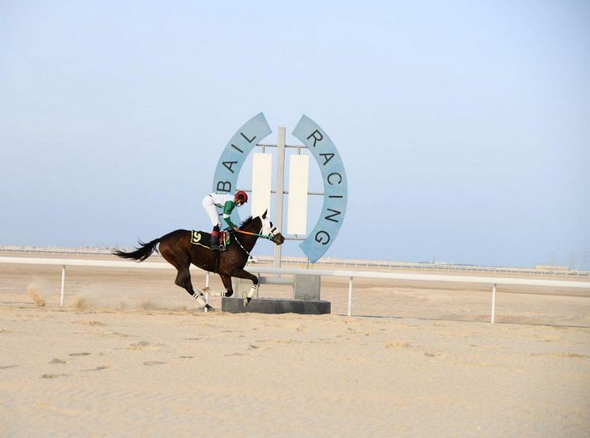 تقيم ساحة الجبيل للفروسية السباق الخامس عشر للموسم الحالي