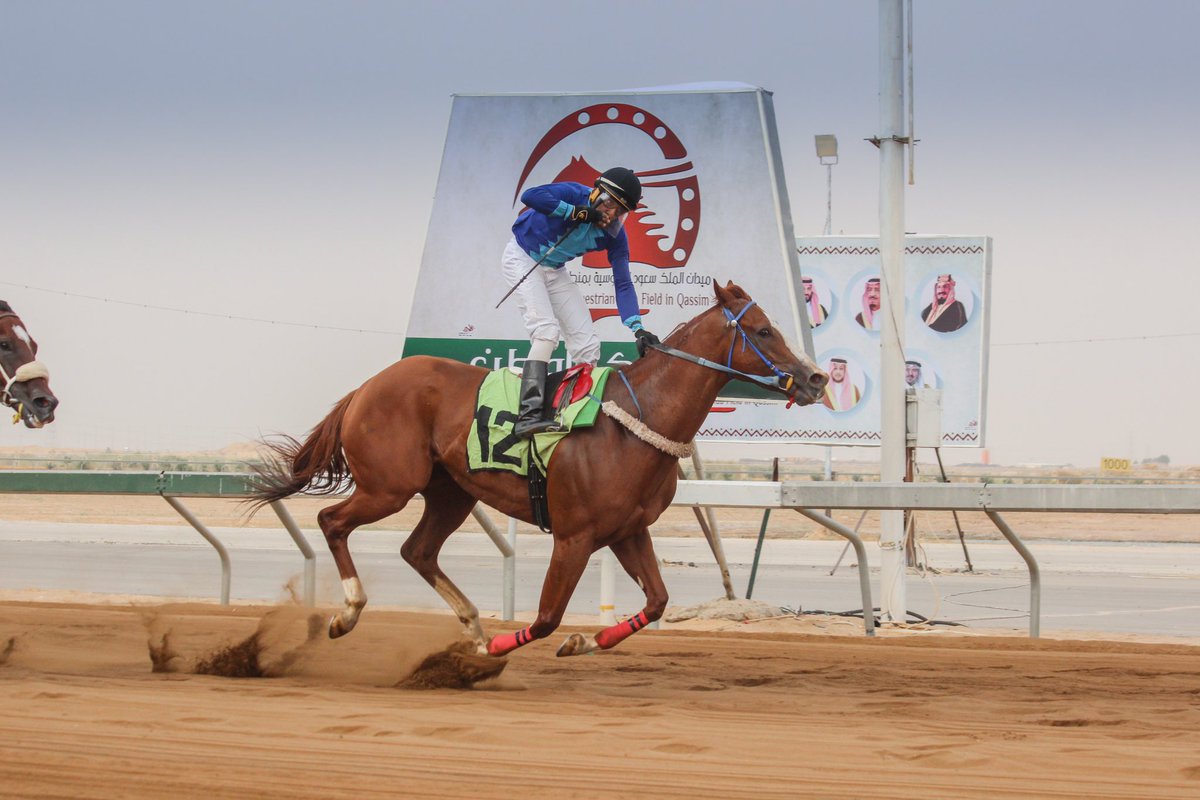 ميدان الملك سعود للفروسية بمنطقة القصيم يقيم حفل سباقه العشرين