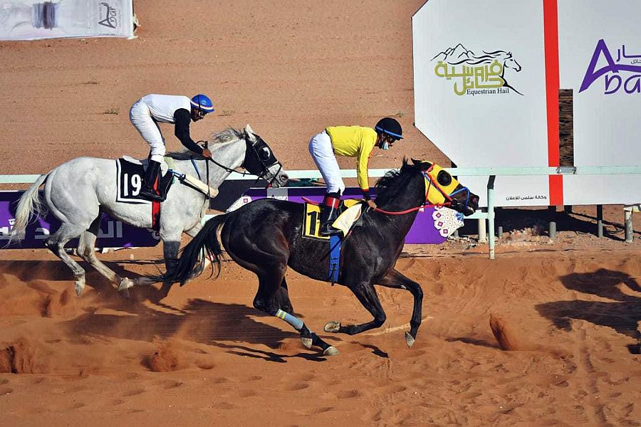 فروسية حائل تنظم حفل سباقها الثامن عشر اليوم