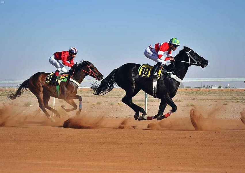 DST_1509788_2300078_17_2_2021022311251446