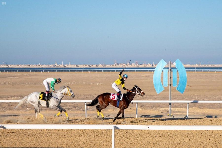 DST_1512441_2308650_7_3_2021022800580992