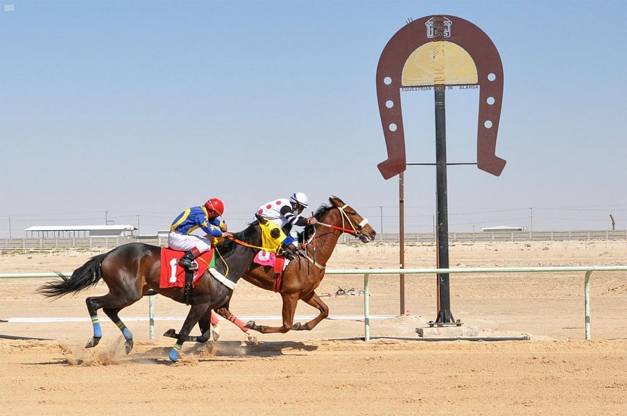 DST_1512834_2310623_74_5_2021022818163645