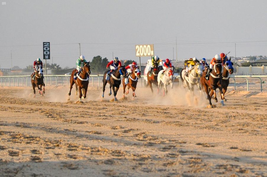 DST_1512834_2310625_74_5_2021022818163645