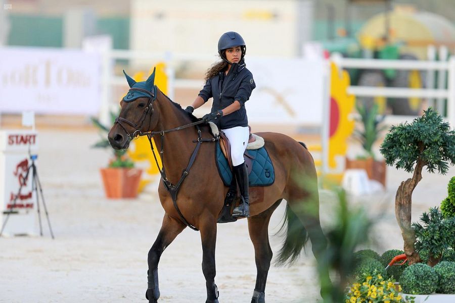 DST_1515576_2318559_2_5_2021030500111402