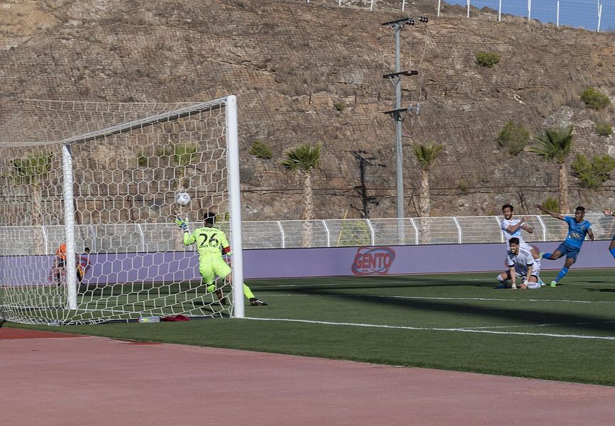 DST_1515821_2319192_35_5_2021030519000018