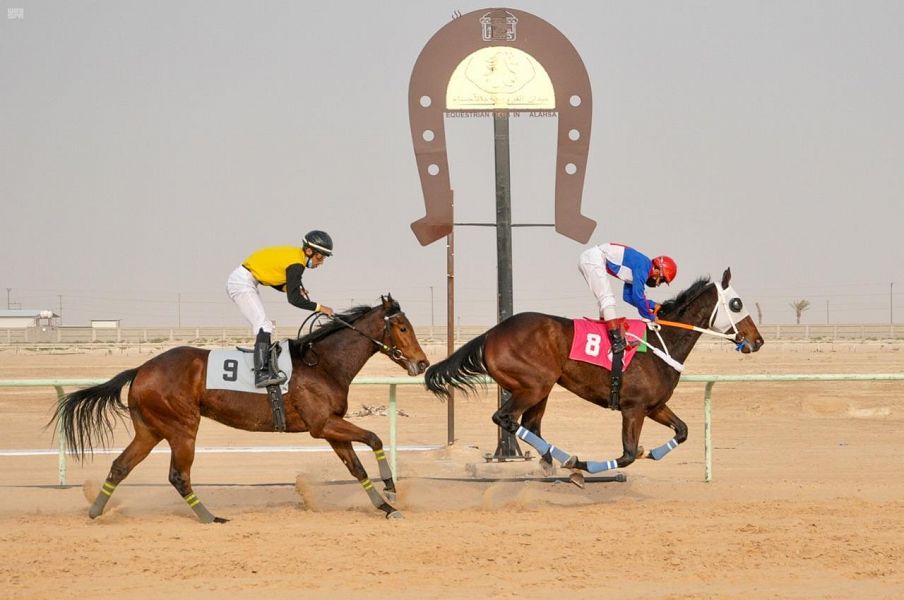 DST_1516210_2320184_2_3_2021030700101599