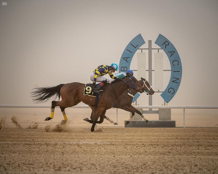 DST_1521092_2332112_23_4_2021031319202038