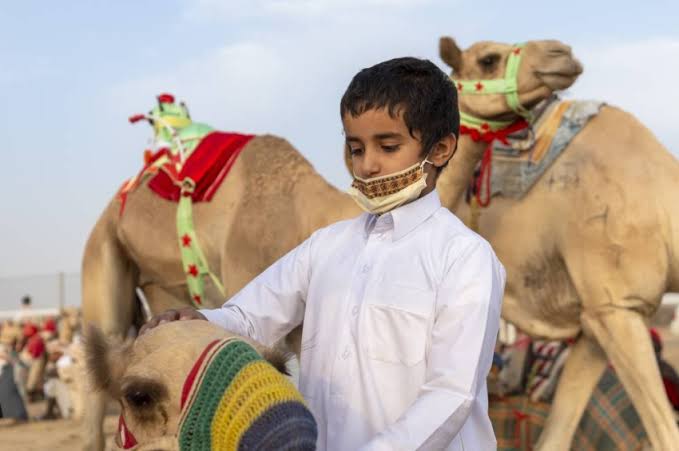 هجن مكة المكرمة تسيطر على منافسات الفترة الصباحية لليوم الثامن بمهرجان ولي العهد للهجن