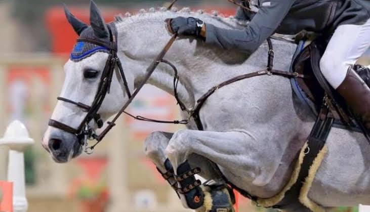 الفارسان الراجحي وآل هادي أبطال نهائي دوري هيئة تطوير بوابة الدرعية لقفز الحواجز