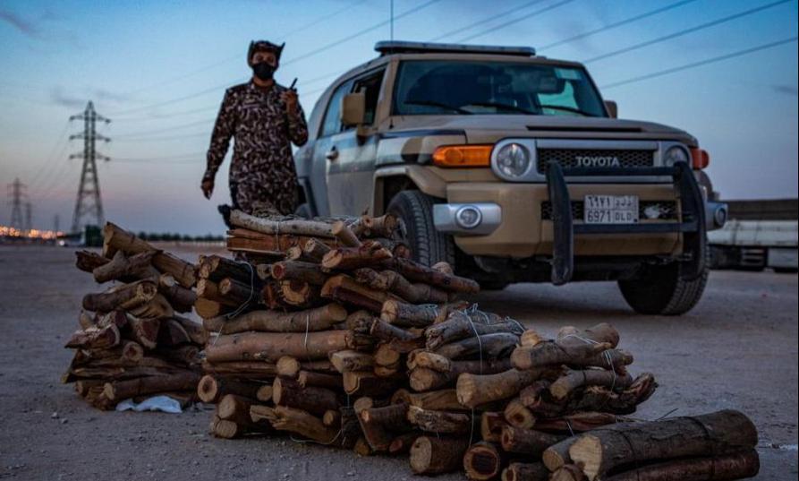 القوات الخاصة للأمن البيئي تضبط مخالفين لنظام البيئة لبيعهم حطبًا محليًا لأغراض تجارية