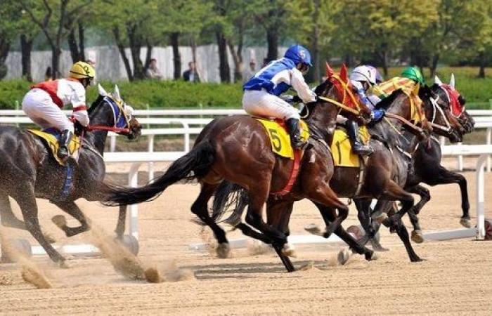 المهر "مسبار الأمل" يتسلم جائزة مساهمة نادي سباق الخيل ... و "ابن قامة" يتسلم التقدير