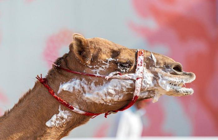 medium_2021-08-16-efb2759269