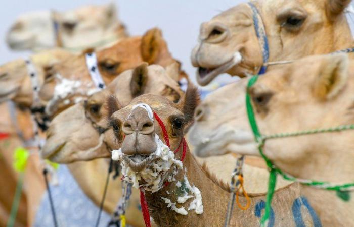 medium_2021-09-08-57a4a9f114