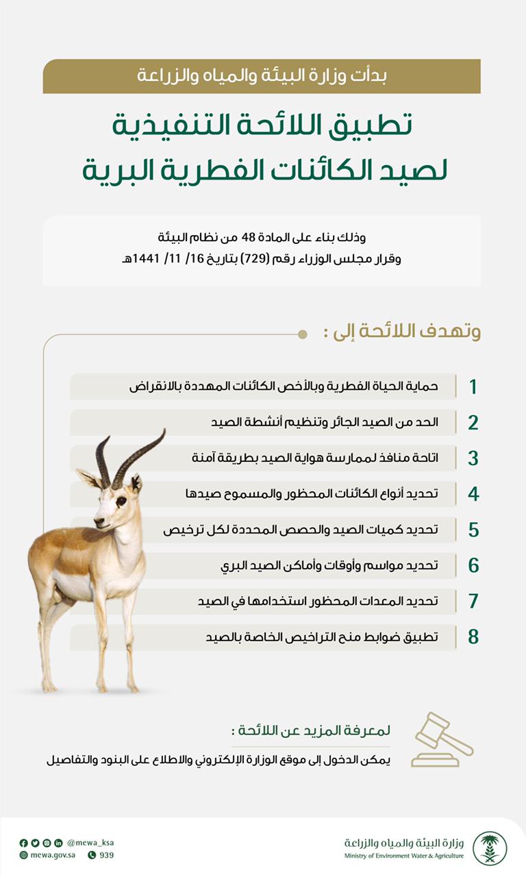 "البيئة" تبدأ تطبيق اللائحة التنفيذية لصيد الكائنات الفطرية البرية في المملكة