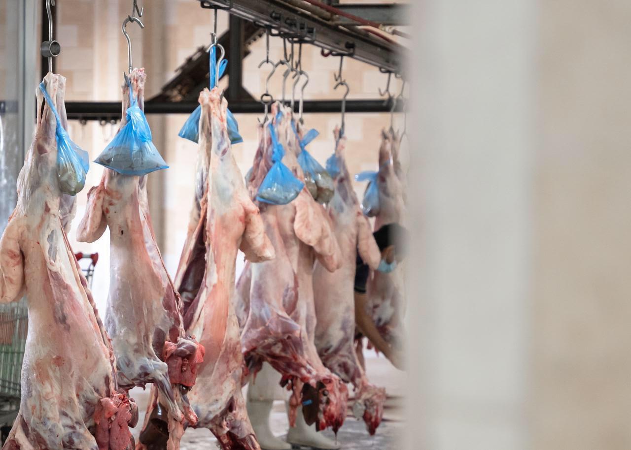 WhatsApp Image 2021-04-27 at 7.09.18 PM