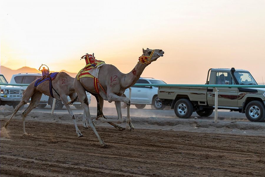 WipeOut09_22_2021_030910.112000