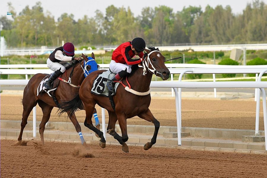 WipeOut16_13_2021_031653.349000