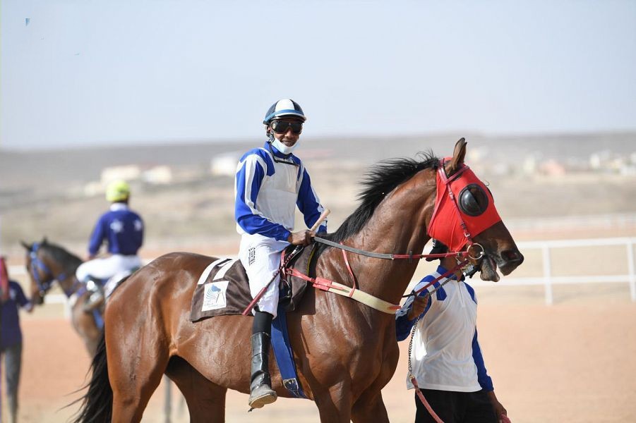 WipeOut17_28_2021_101714.206000