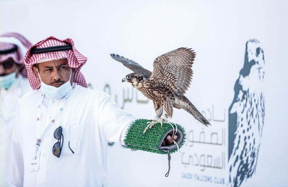 WipeOut57_16_2021_015724.390000