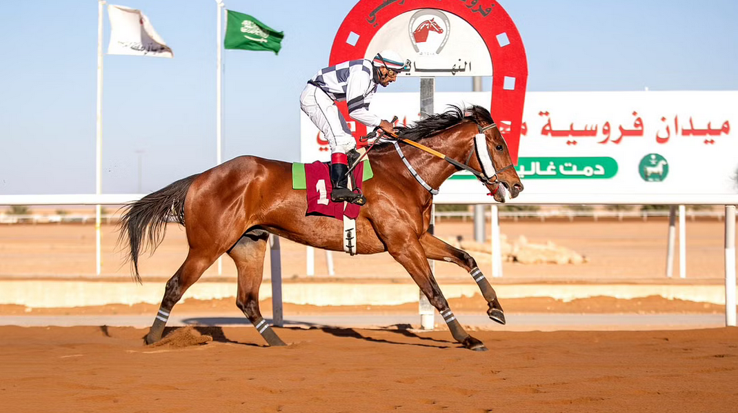 فروسية الزلفي تقيم سباقها الـ18