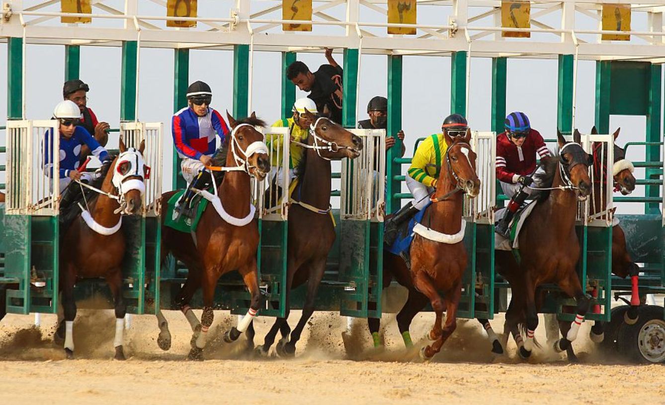 ميدان "فروسية الأحساء" يُقيم سباقه الـ 19 للموسم الحالي